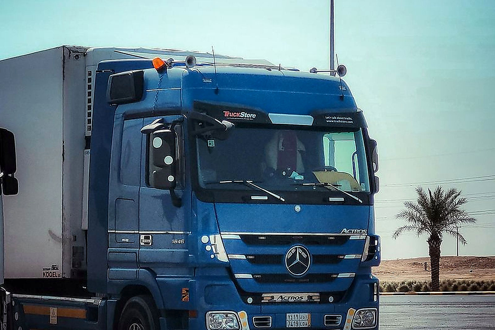 A blue freight truck parked on a sunny desert highway with a palm tree backdrop